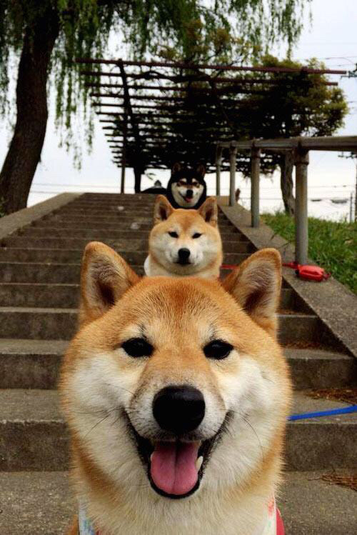 拆船之夜，利拉德擎天柱下，上海队的生死战狂想曲