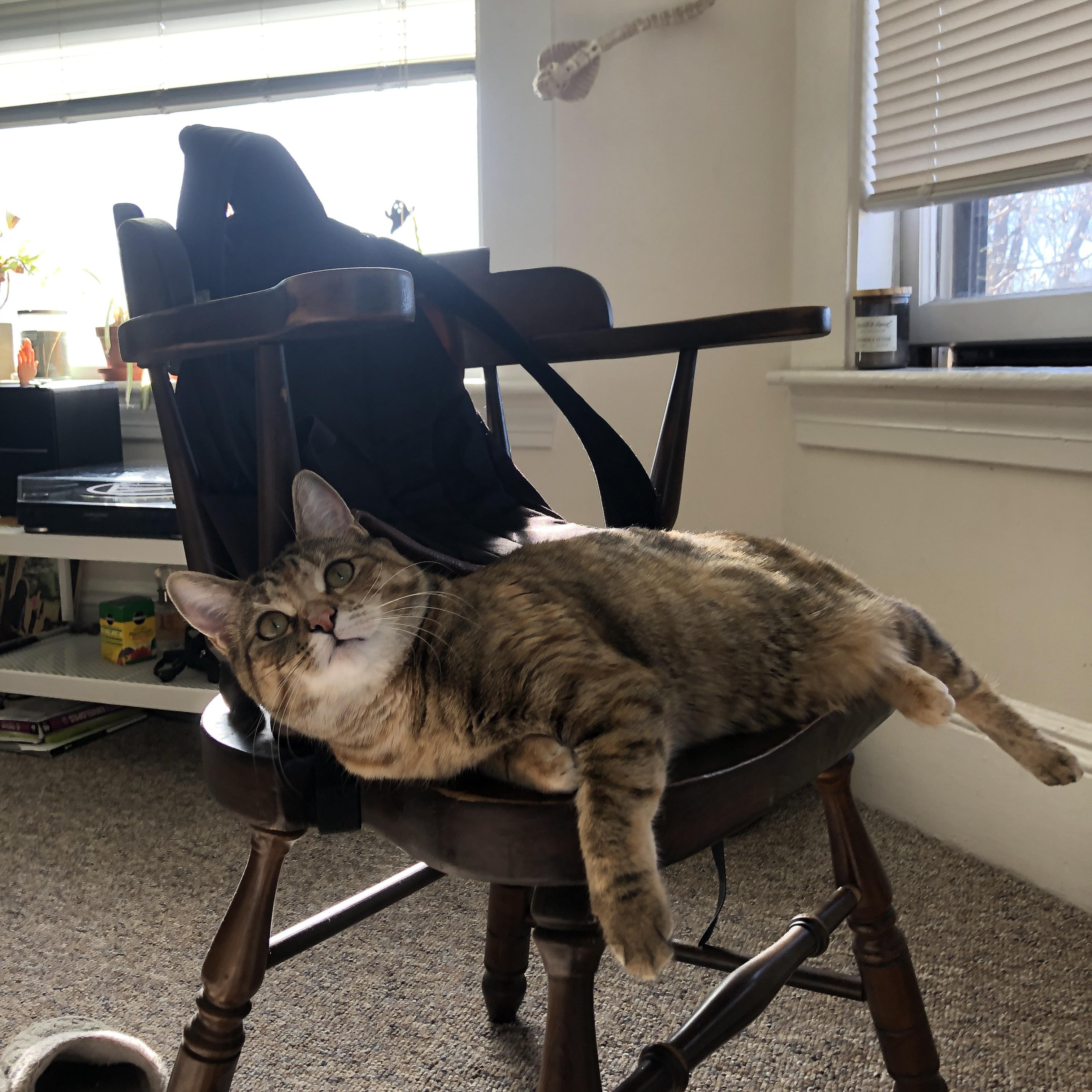 阿劳霍，大场面先生的传奇之夜，喀麦隆制霸摩洛哥