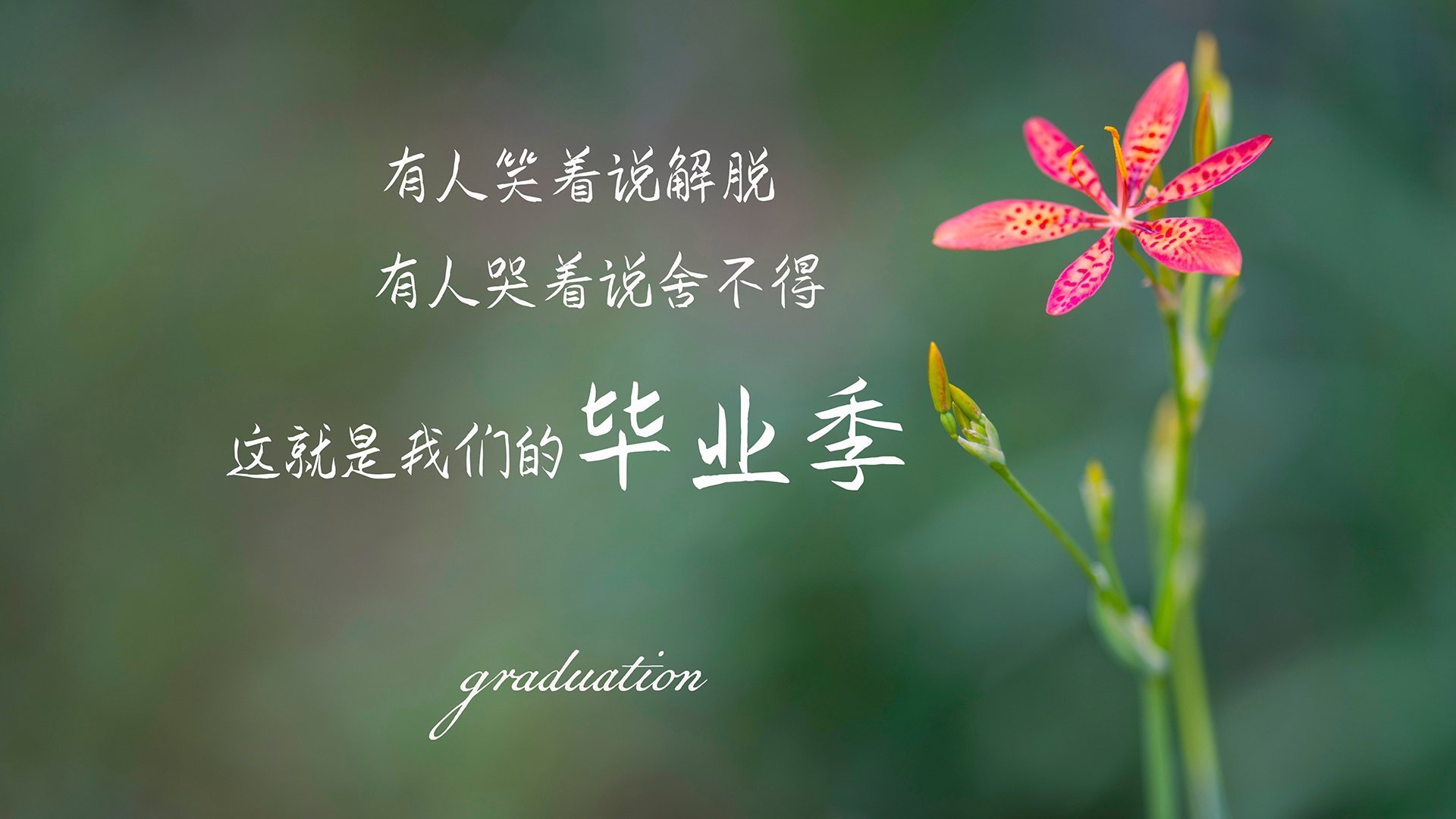 绿茵场的不对称胜利,从伊拉克制霸委内瑞拉,解码加维的教科书级表现