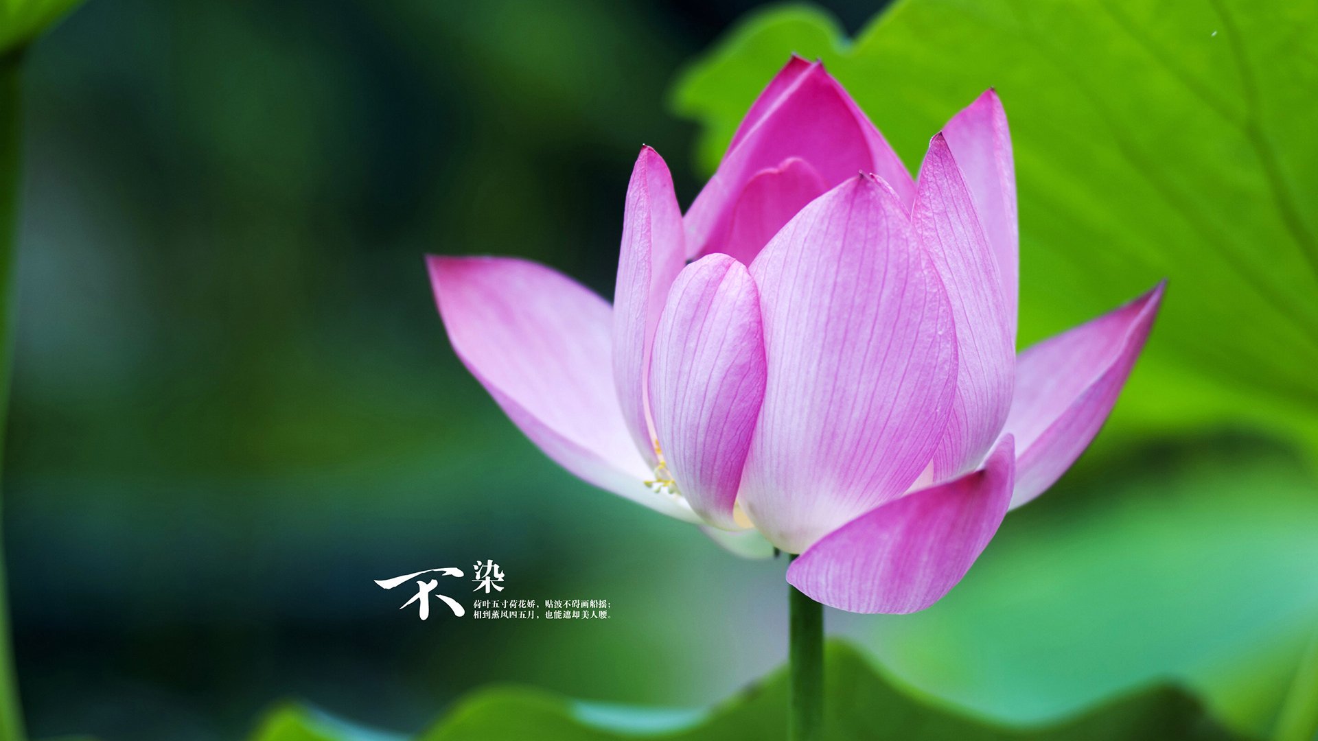 扩展思维,拟定标题