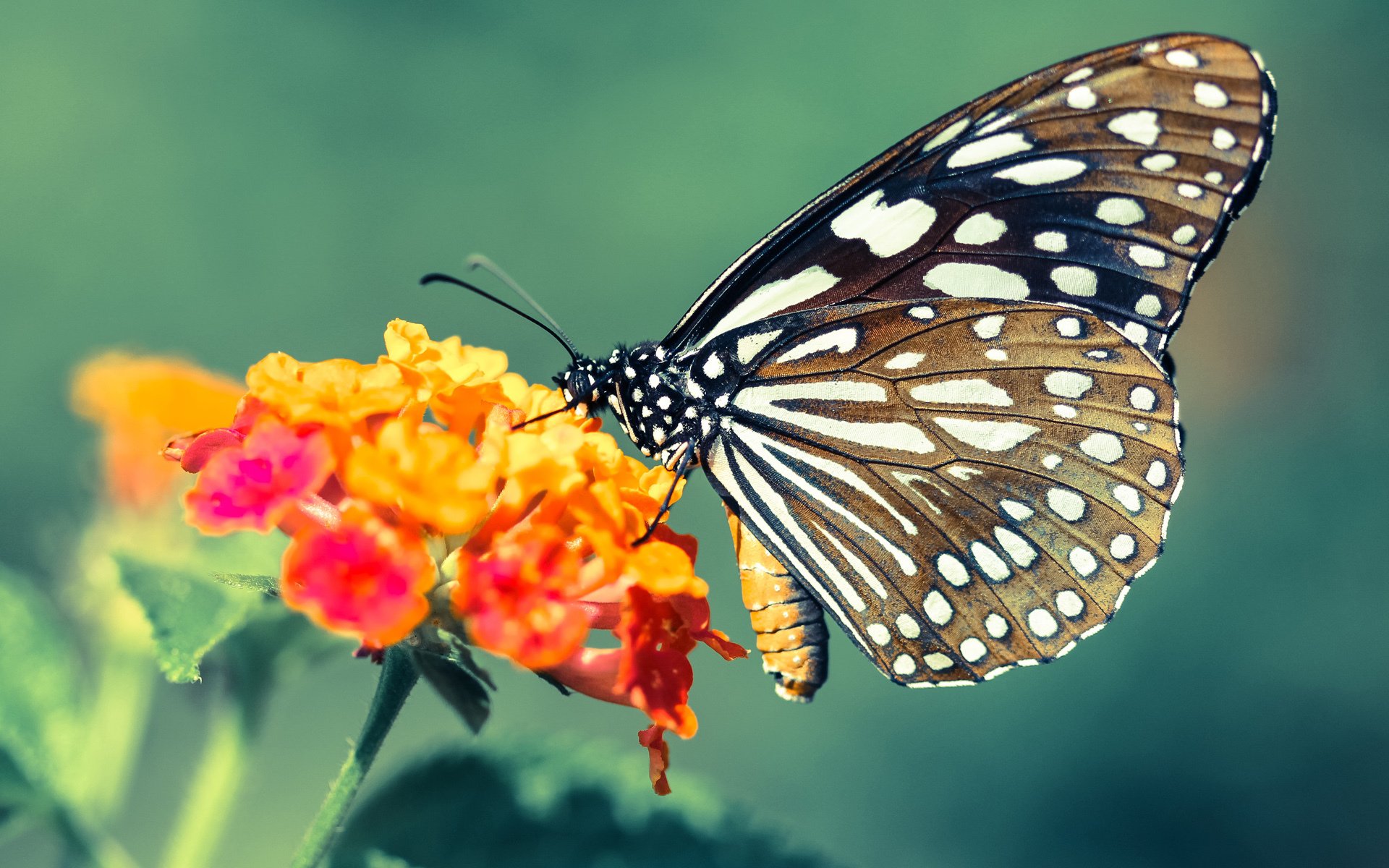 2023与2035,十二年一梦,两代巨星的平行终局