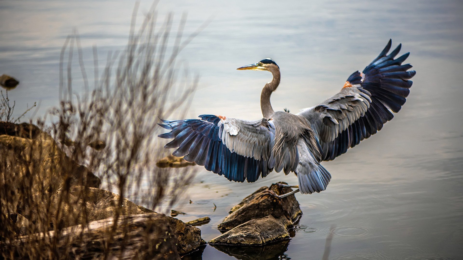 节奏掌控，尼克斯与保罗揭示现代竞技的终极武器