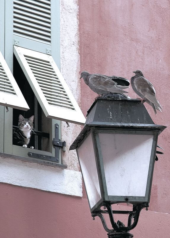 当优势成为常态,穆勒的统治级数据与巴萨的威尔士碾压之战