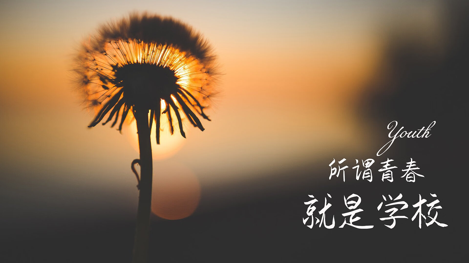 中场指挥官的胜利,从若日尼奥的欧冠统治到加拿大队的纪律性突破