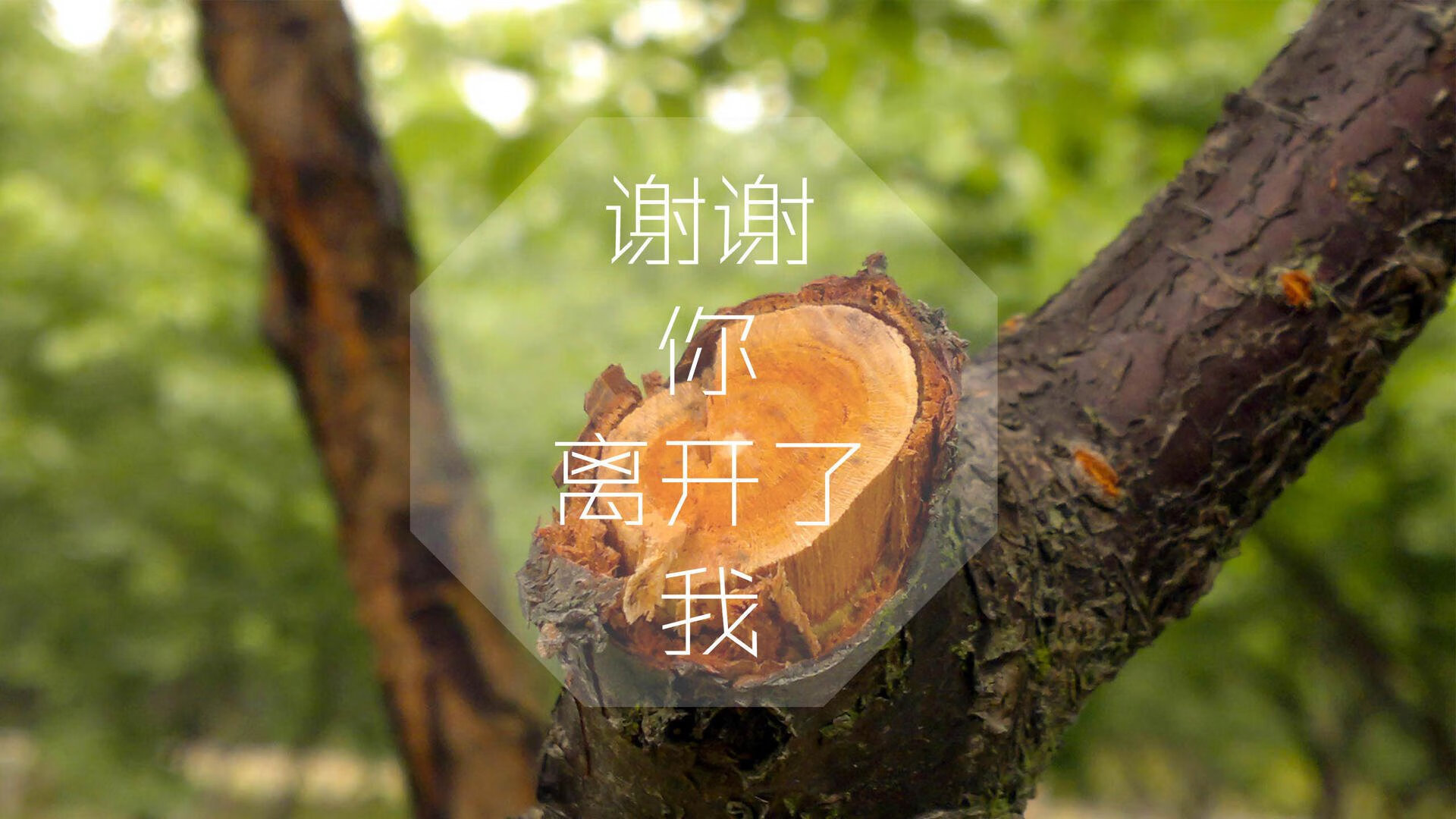 冰与火之外的独奏,2026世界杯G组,那份无法复制的攻守美学与历史绝杀