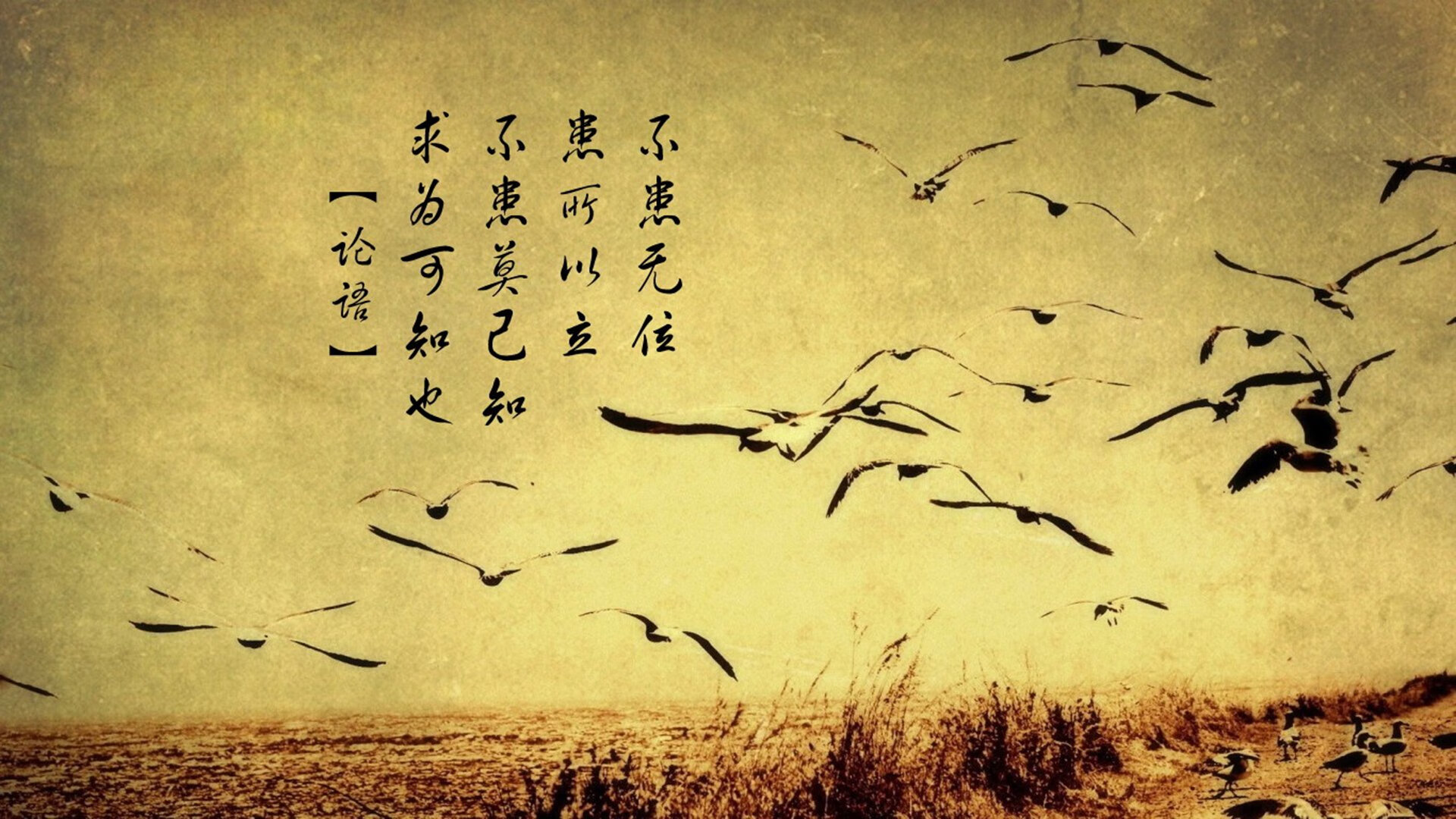 唯一的琴弦,当保加利亚玫瑰遇上升降机,久保建英奏响2026命运交响曲