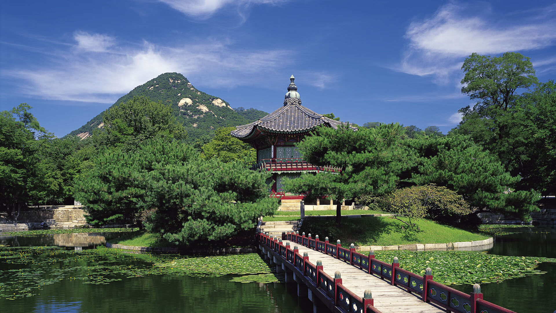 双面控局,当贝林厄姆的足球节拍器奏响绝杀挽歌,尼日利亚在2026世界杯颠覆了非洲雄狮的丛林法则